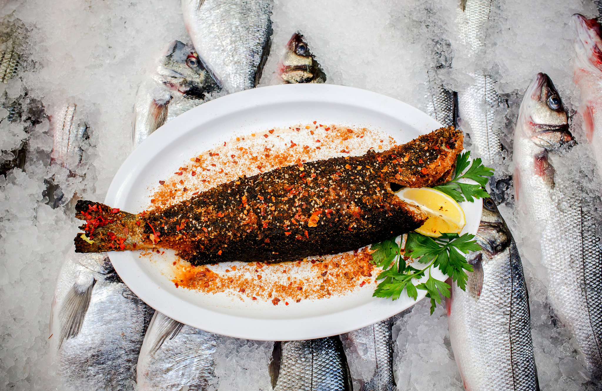 Grilled Branzino